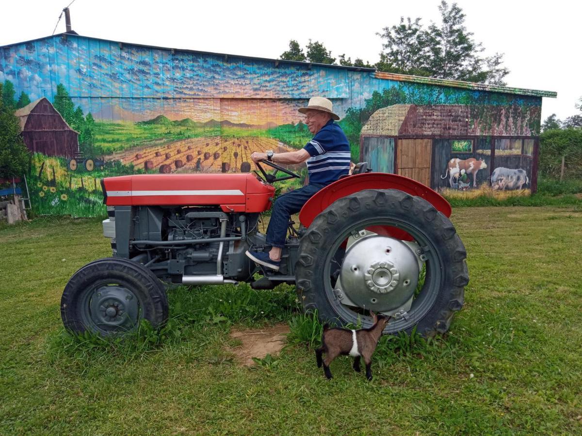 مبيت وإفطار La Petite Ferme De Pouillon - Parc Animalier - Aire De Loisirs المظهر الخارجي الصورة