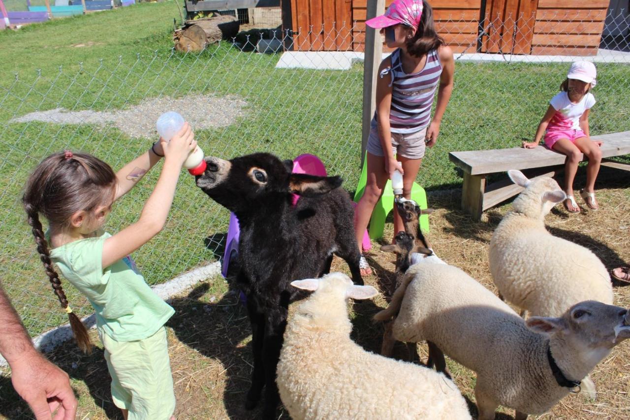 مبيت وإفطار La Petite Ferme De Pouillon - Parc Animalier - Aire De Loisirs المظهر الخارجي الصورة