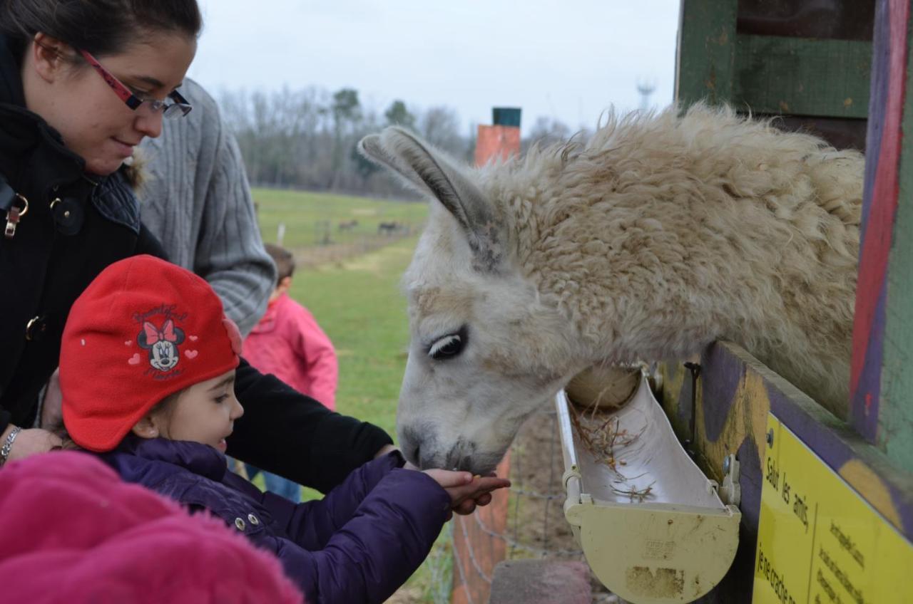 مبيت وإفطار La Petite Ferme De Pouillon - Parc Animalier - Aire De Loisirs المظهر الخارجي الصورة