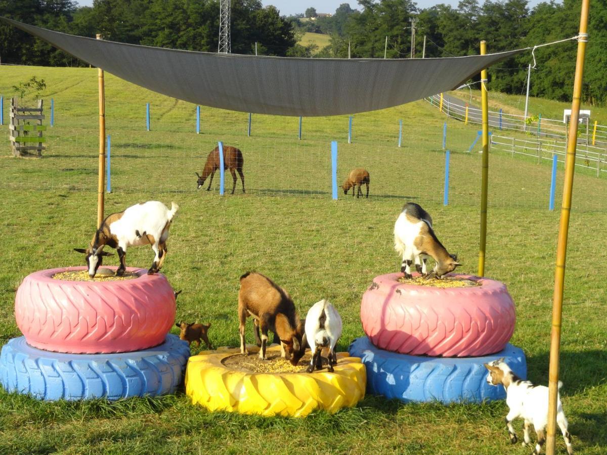 مبيت وإفطار La Petite Ferme De Pouillon - Parc Animalier - Aire De Loisirs المظهر الخارجي الصورة